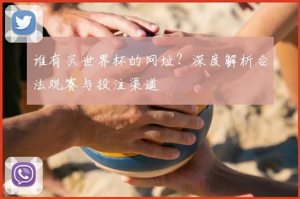 谁有买世界杯的网址？深度解析合法观赛与投注渠道