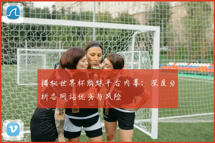 揭秘世界杯购球平台内幕:深度分析各网站优劣与风险