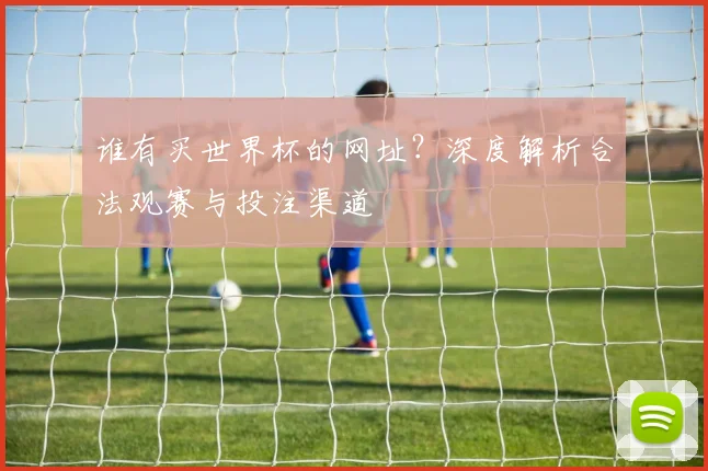 谁有买世界杯的网址？深度解析合法观赛与投注渠道
