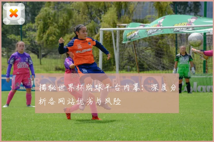 揭秘世界杯购球平台内幕:深度分析各网站优劣与风险